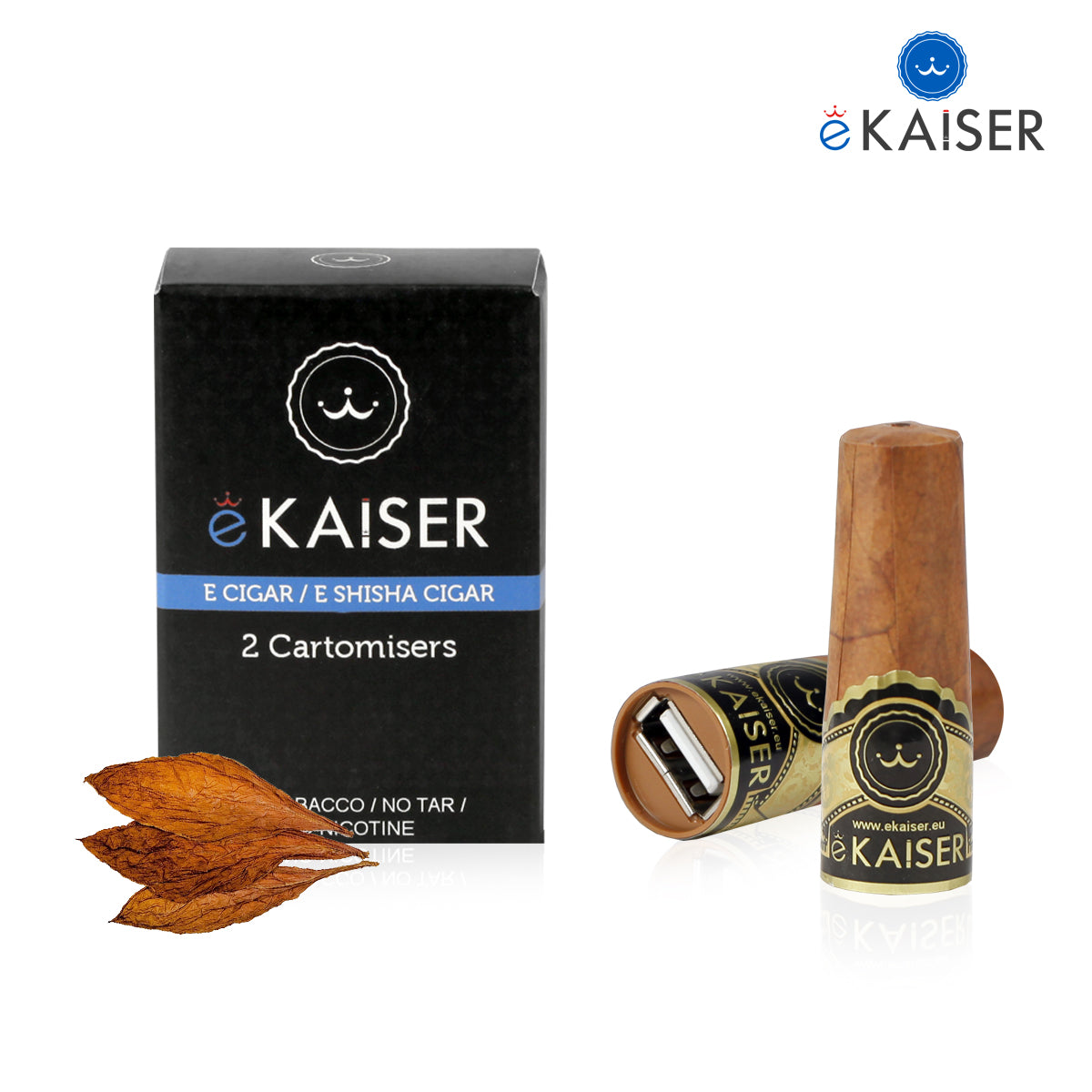 Electronic Cigar