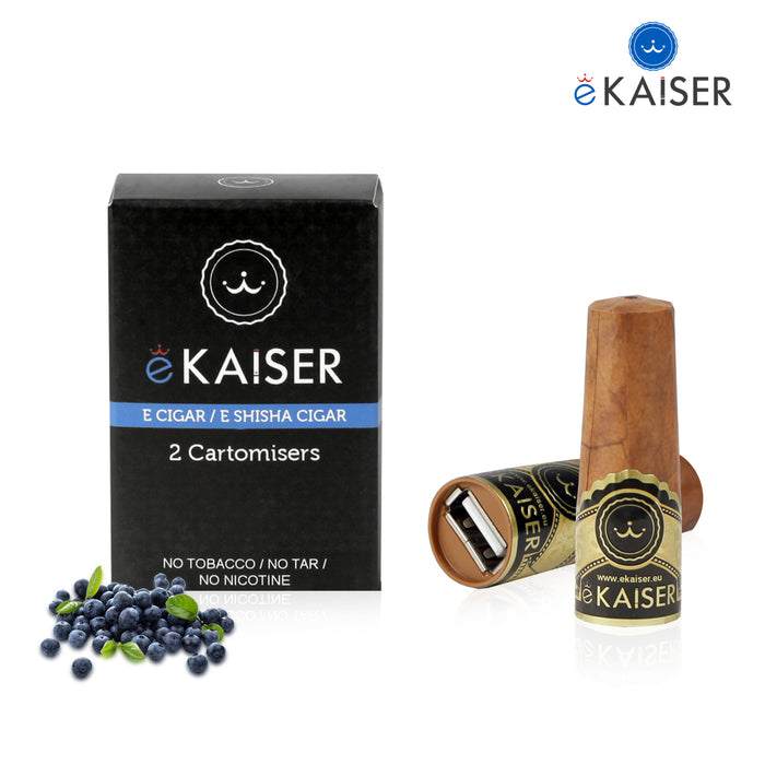 Electronic Cigar,2 Pack,cigee,Bluberry